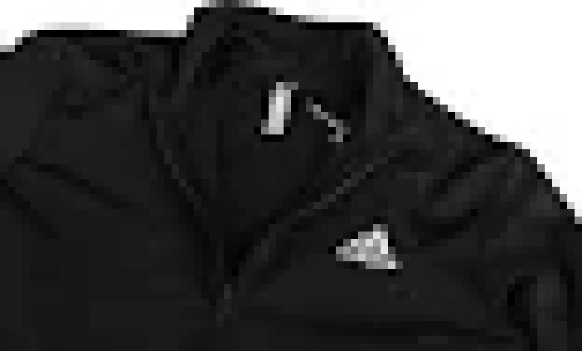 Adidas M 3S Tr Tt Ts Erkek Eşofman Takımı