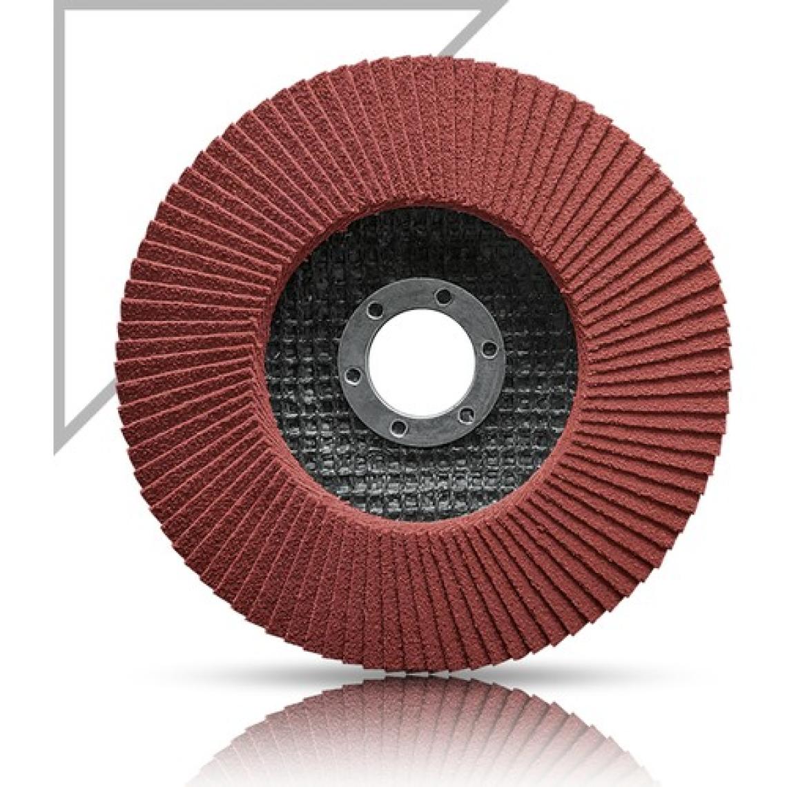 Karbosan Metal Zımpara Flap Disk - 115 x 60 Kum - 5 Adet