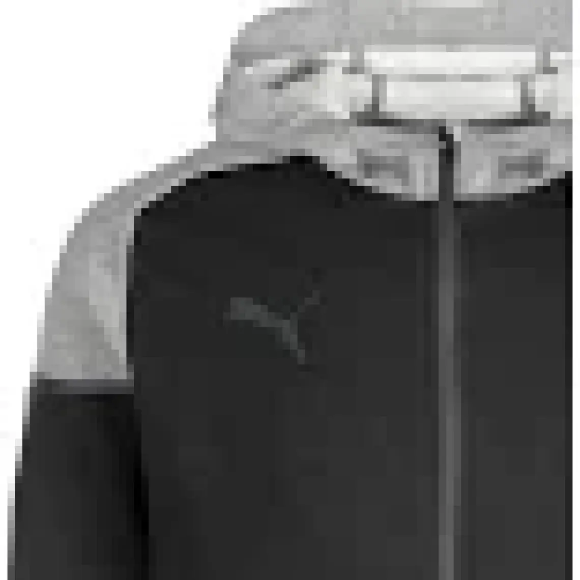 Puma Teamcup Casuals Hooded Jkt Erkek Futbol Ceketi 65798703 Siyah