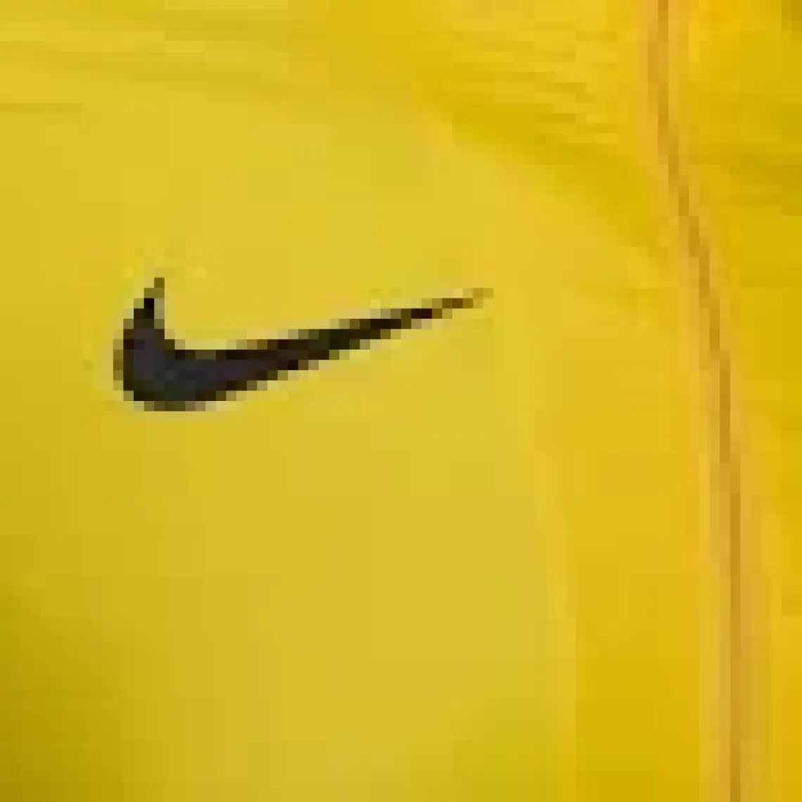 Nike M Nk Rpl PARK20 Rn Jkt W Erkek Yağmurluk BV6881-657