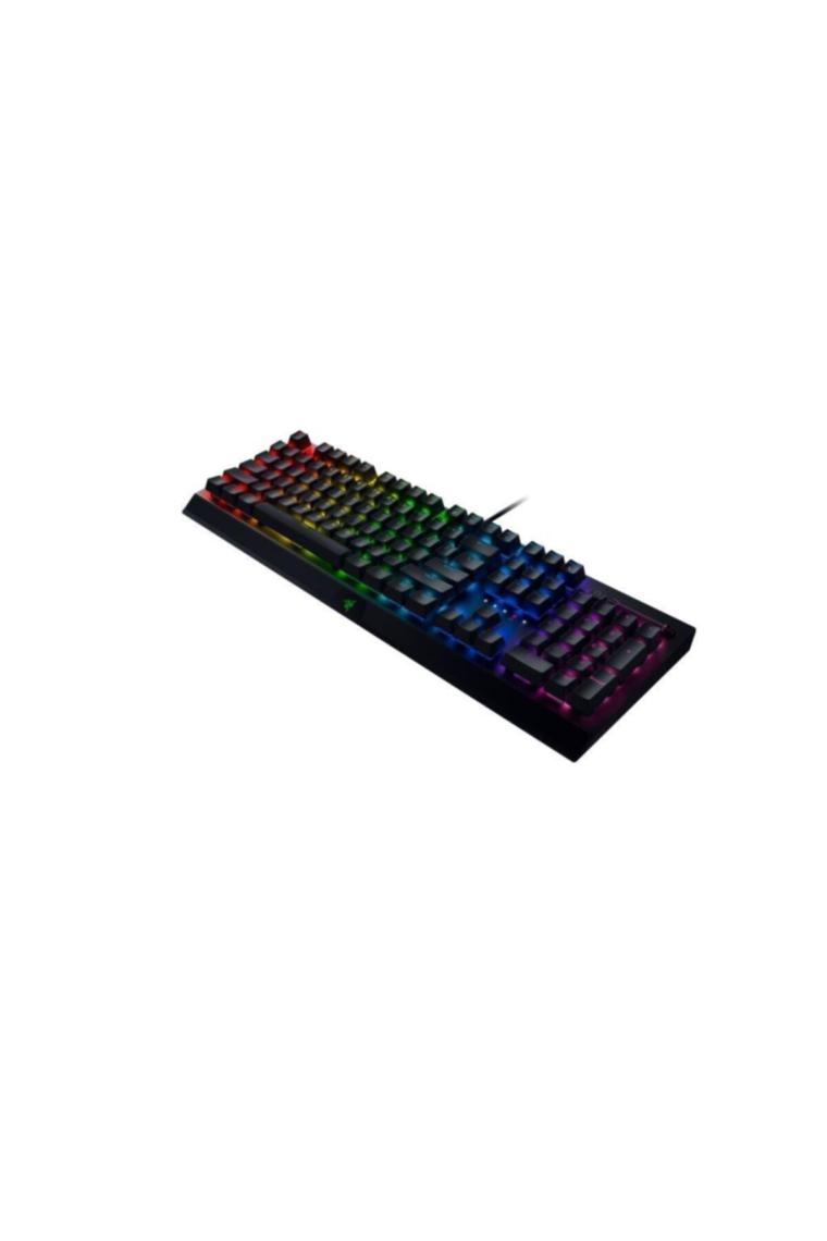 Blackwidow V3 Yeşil Switch Türkçe Mekanik Oyuncu Klavyesi RZ03-03541100-R3L1