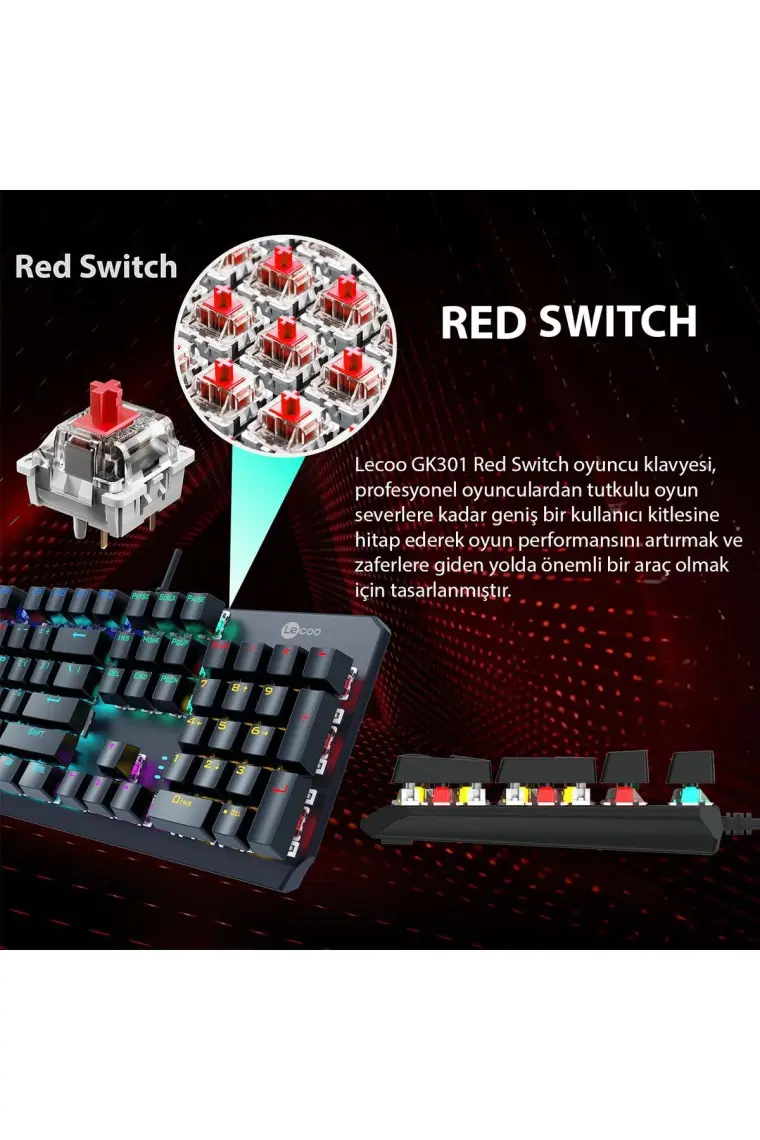Lecoo GK301 USB Kablolu Red Switch Makro Tuş Atamalı RGB LED Aydınlatmalı Gaming Mekanik Türkçe Q Klavye Metalik Gri