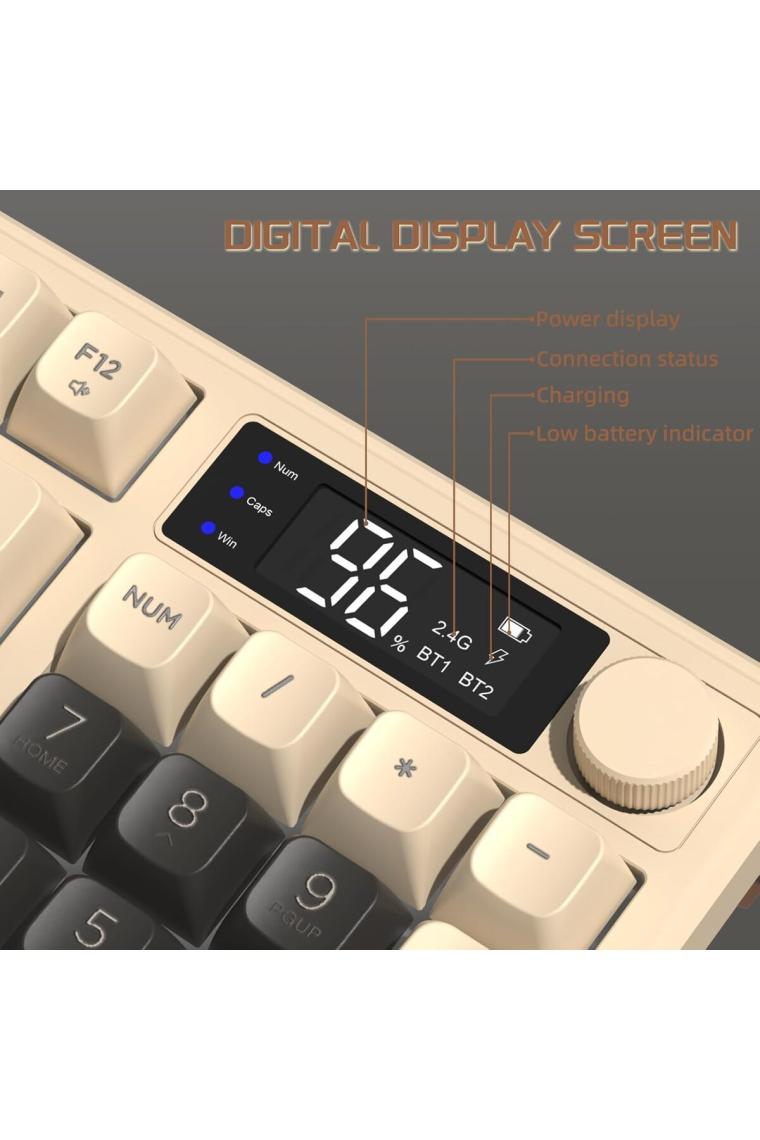 Sarftech Freewolf M96 2.4g+Bt5.0 Çift Bağlantılı Tft LED Ekranlı  Reinbow Gaming Oyuncu Klavye