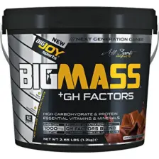 BigJoy BigMass GH Factors Karbonhidrat Tozu 1200 gr Çikolatalı