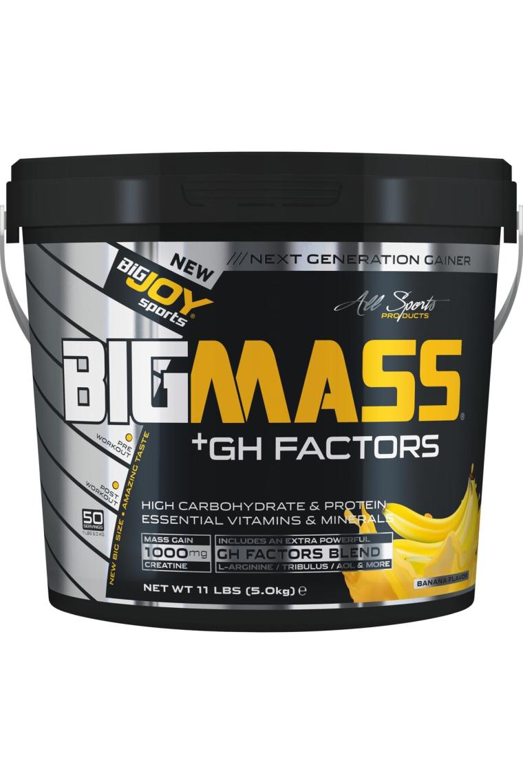 BigJoy Bigmass GH Factors Karbonhidrat Tozu 5000 gr Muzlu