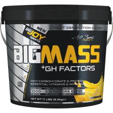 BigJoy Bigmass GH Factors Karbonhidrat Tozu 5000 gr Muzlu