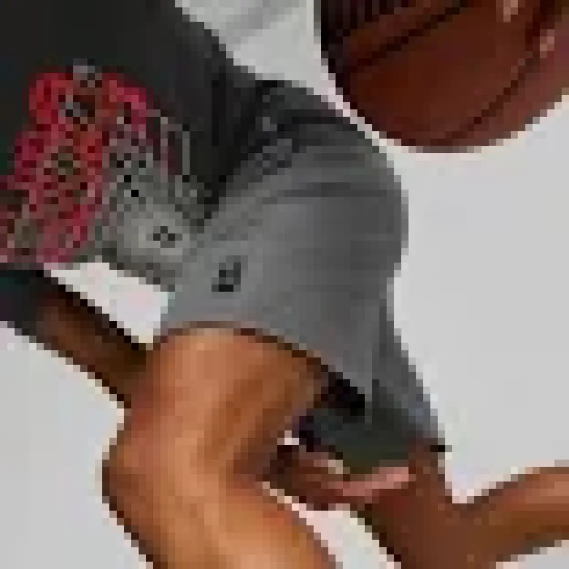 Puma Posterize Erkek Şort 53876502