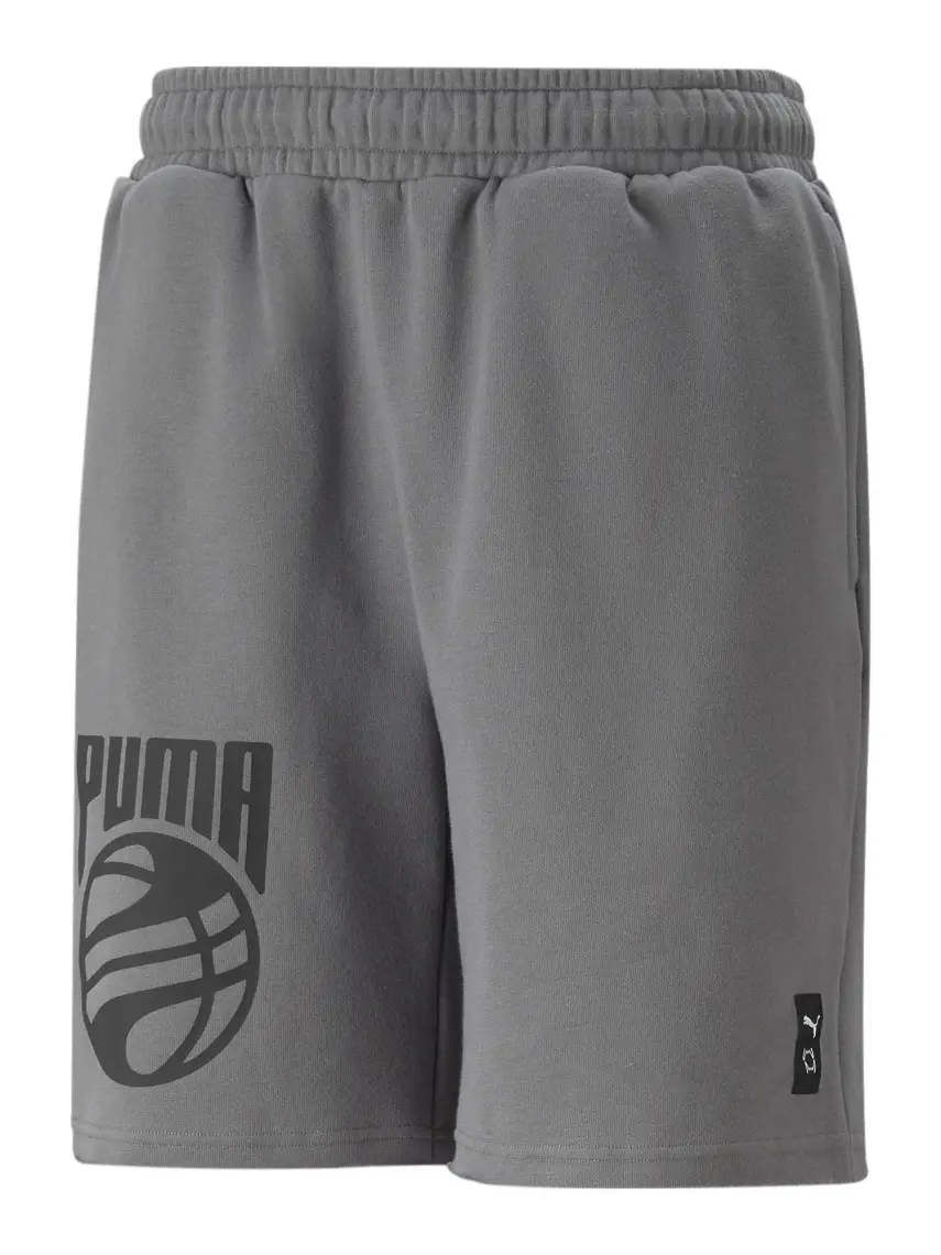 Puma Posterize Erkek Şort 53876502