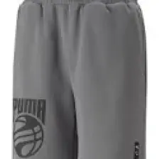 Puma Posterize Erkek Şort 53876502