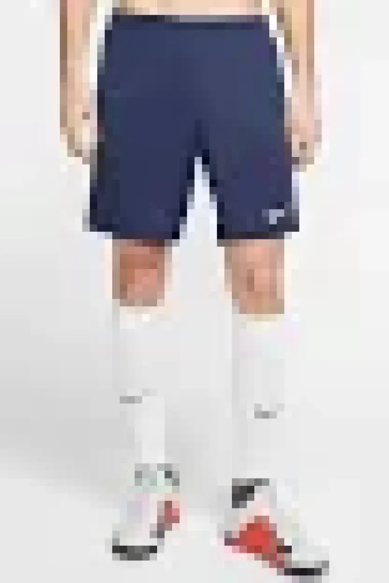 Nike Park III Short BV6855-410 Erkek Şort