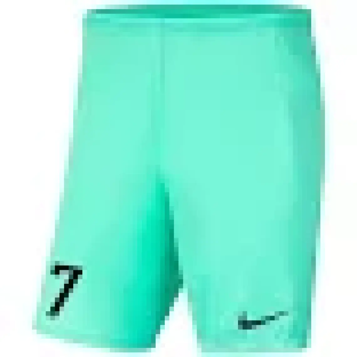 Nike Park III Short BV6855-410 Erkek Şort