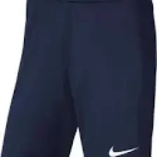Nike Park III Short BV6855-410 Erkek Şort