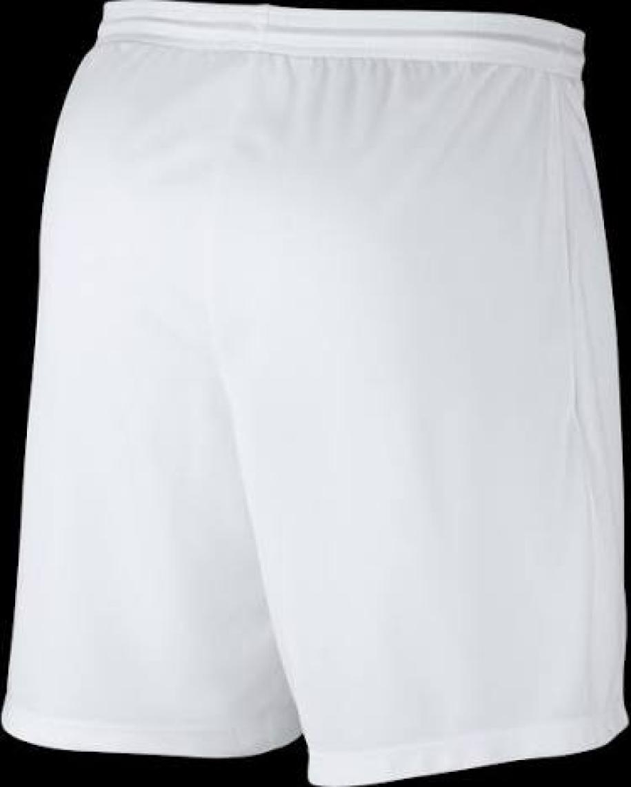 Nike Park III Short BV6855-410 Erkek Şort