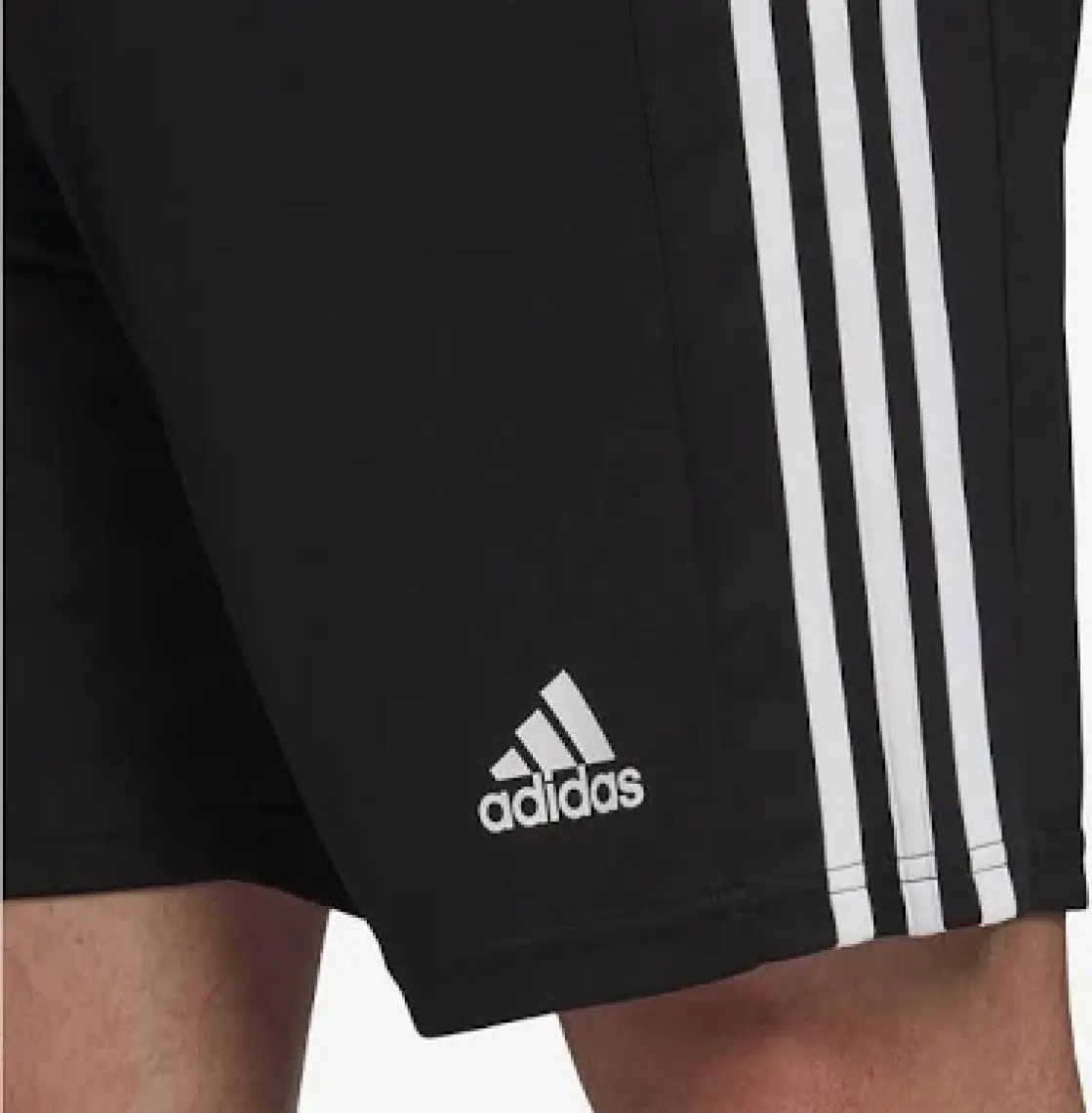 adidas Squadra 21 Erkek Spor Şort GN5776