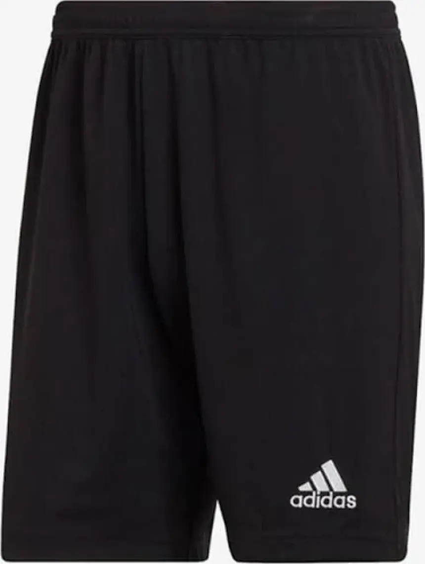 Adidas Performance H57504 Entrada 22 Shorts