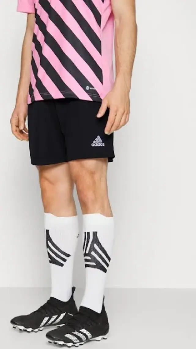 Adidas Performance H57504 Entrada 22 Shorts
