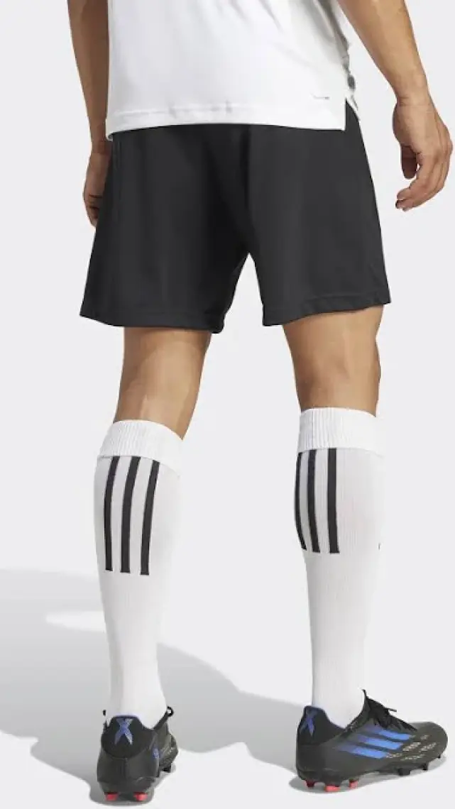 Adidas Performance H57504 Entrada 22 Shorts