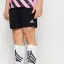 Adidas Performance H57504 Entrada 22 Shorts