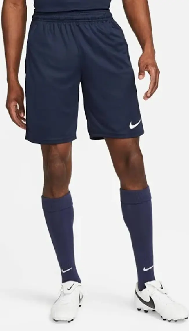 Nike Dri-Fit Park CW6152-451 Erkek Şort