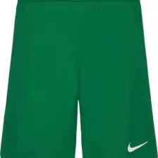 Nike Park Iıı Short  Erkek Şort BV6855-100
