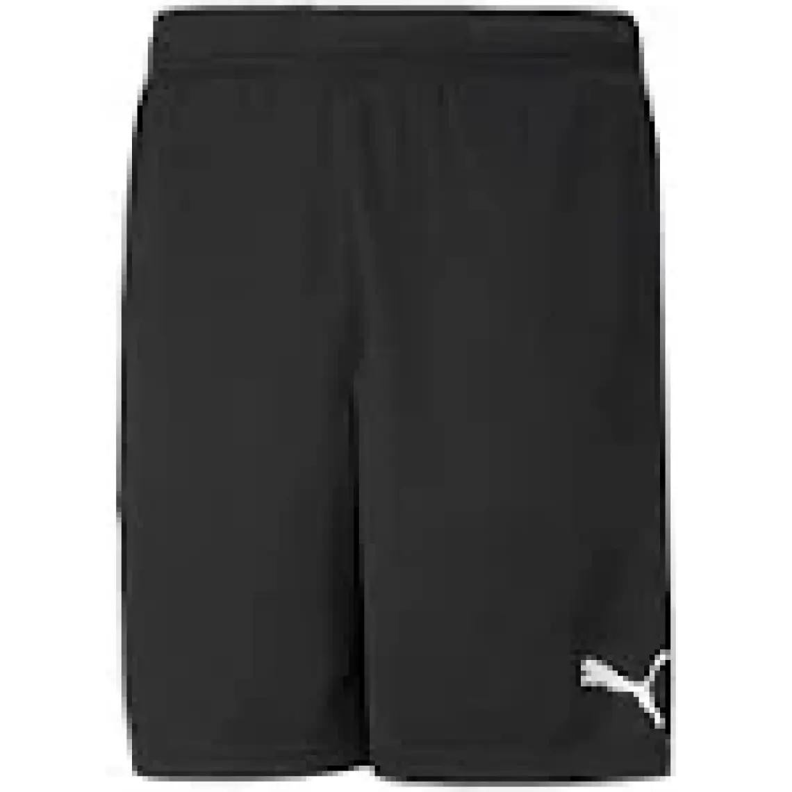 Puma Teamrise Training Shorts Erkek Futbol Maç Şortu 65733603 Siyah