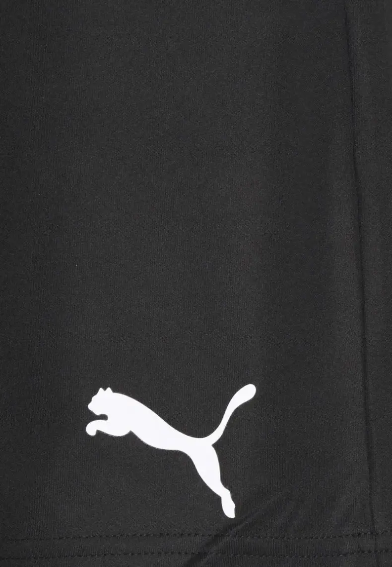 Puma Teamrise Training Shorts Erkek Futbol Maç Şortu 65733603 Siyah