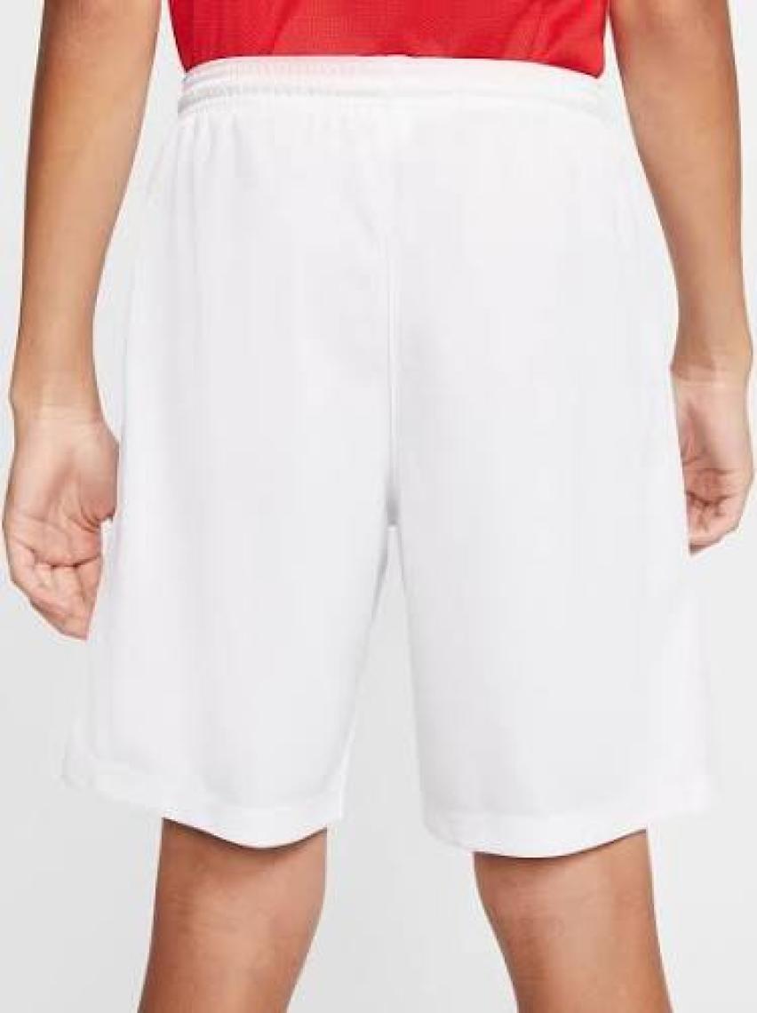Nike Park Iıı Short  Erkek Şort BV6855-100