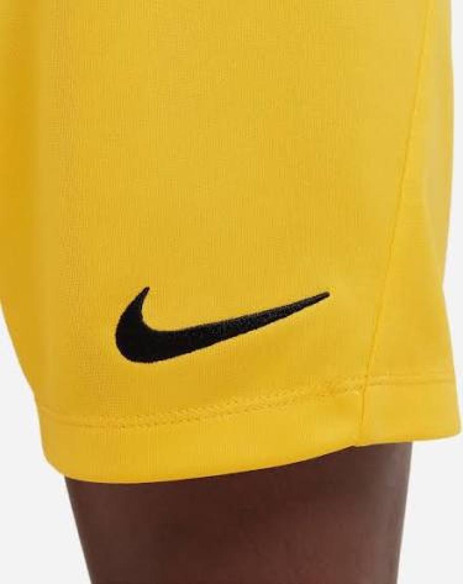 Nike Park Iıı Short  Erkek Şort BV6855-100