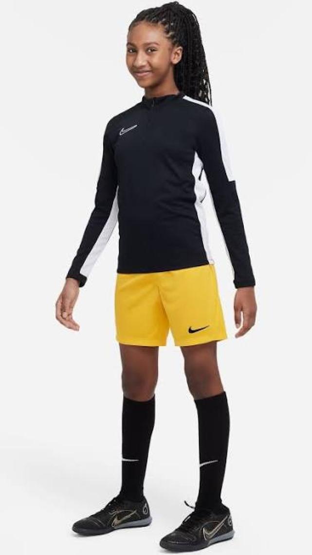 Nike Park Iıı Short  Erkek Şort BV6855-100