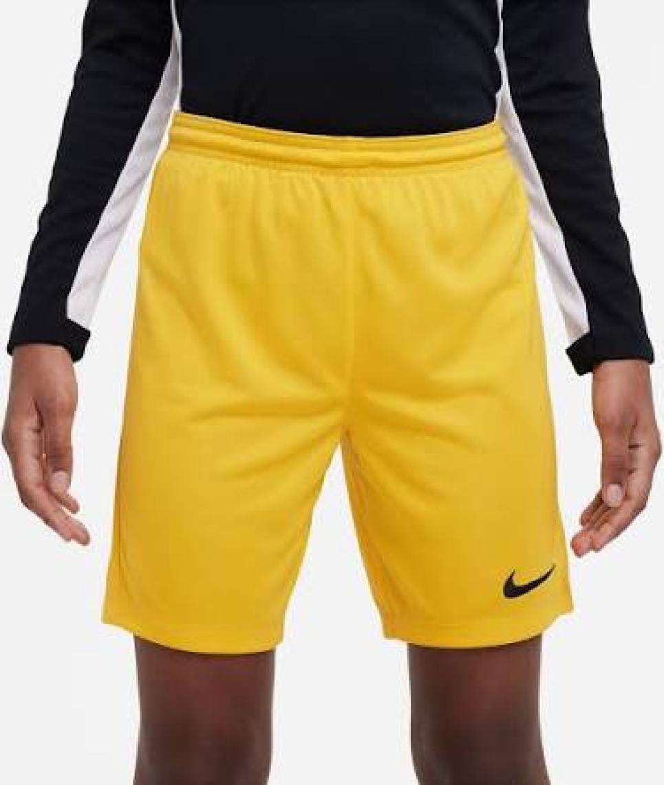 Nike Park Iıı Short  Erkek Şort BV6855-100