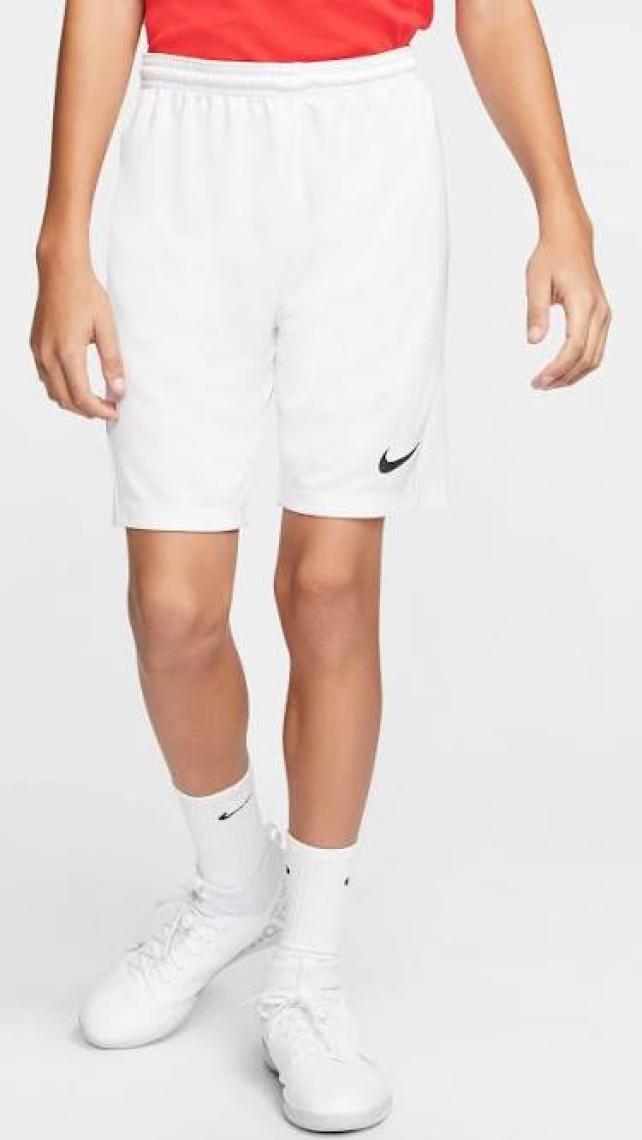 Nike Park Iıı Short  Erkek Şort BV6855-100