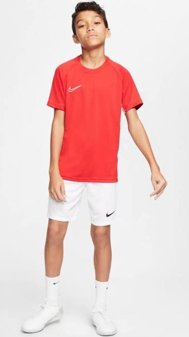 Nike Park Iıı Short  Erkek Şort BV6855-100
