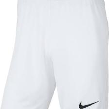 Nike Park Iıı Short  Erkek Şort BV6855-100