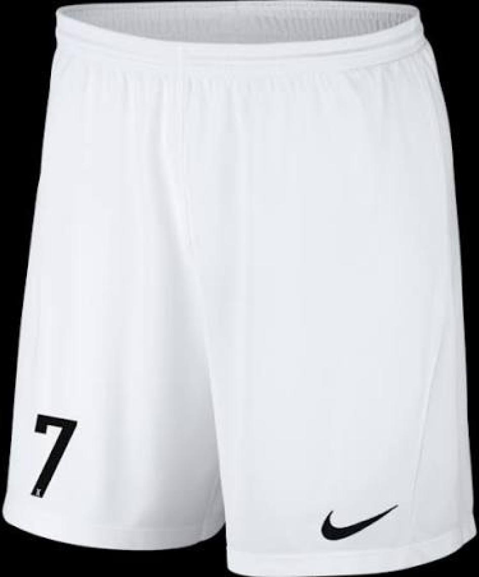 Nike Park III Short BV6855-010 Erkek Şort