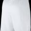 Nike Park III Short BV6855-010 Erkek Şort