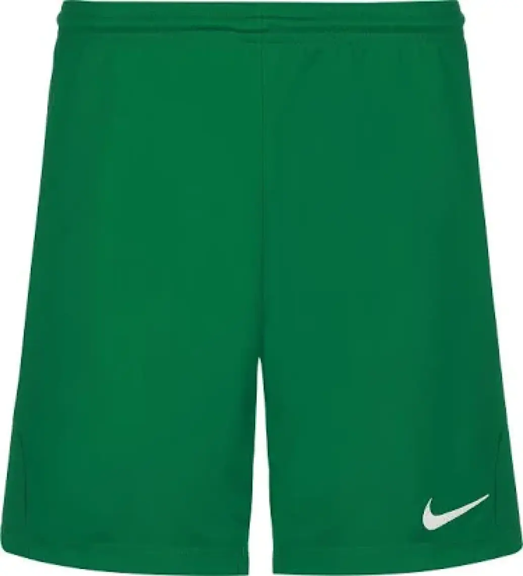 Nike Park Iıı Short  Erkek Şort BV6855-100