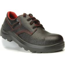 Pars 110 S2 Hsc