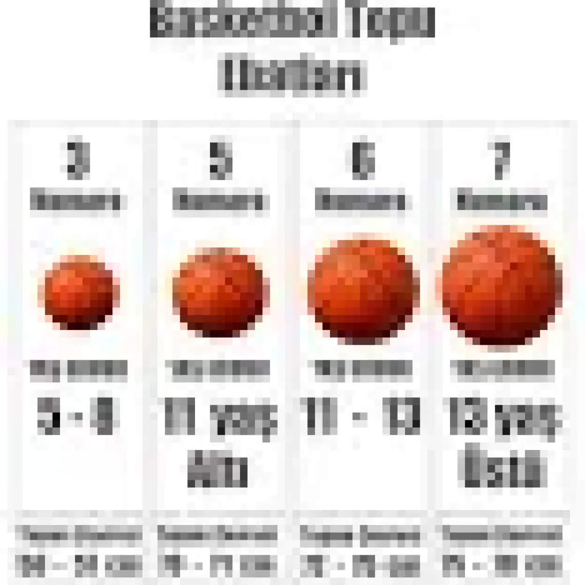 Spalding Basketbol Topu TF-500 Rep/Euro N:6 Comp B (74-546Z)