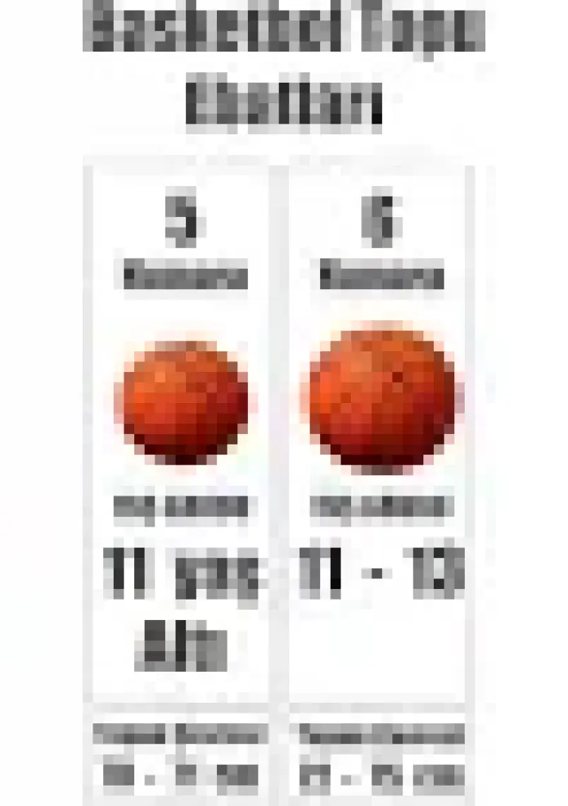 Avessa Basketbol Topu No 6 Mavi