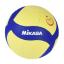 Vs123w 260-280gr Yapıştırma Antrenman Voleybol Topu Yeni Sezon
