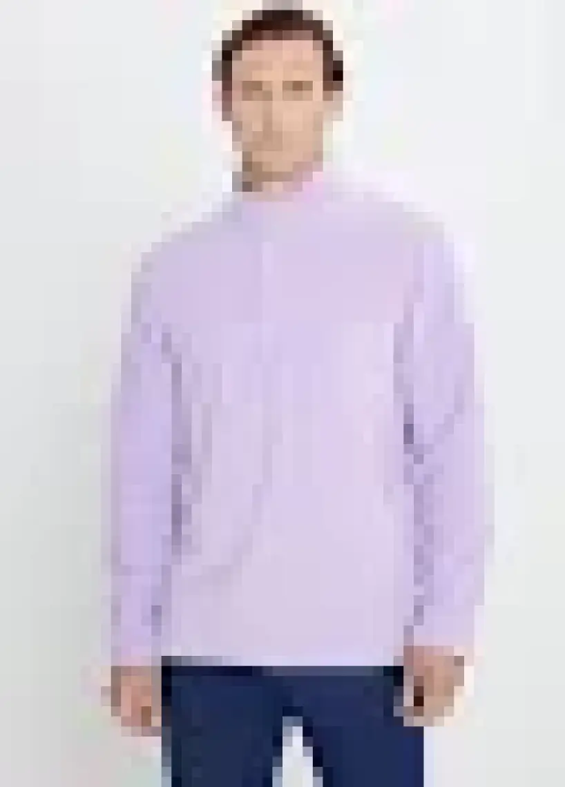Altınyıldız Classics Erkek Lila Anti-Pilling Tüylenme Yapmayan Standart Fit Dik Yaka Polar Sweatshirt