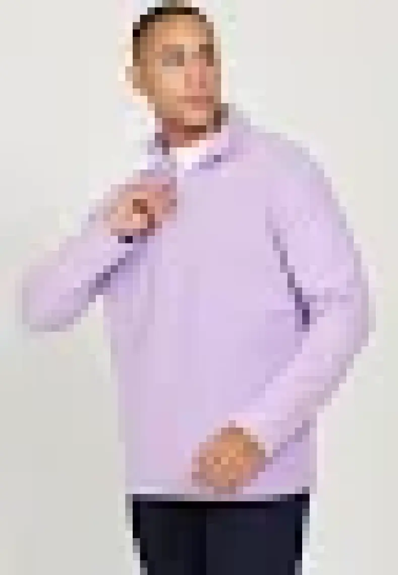 Altınyıldız Classics Erkek Lila Anti-Pilling Tüylenme Yapmayan Standart Fit Dik Yaka Polar Sweatshirt