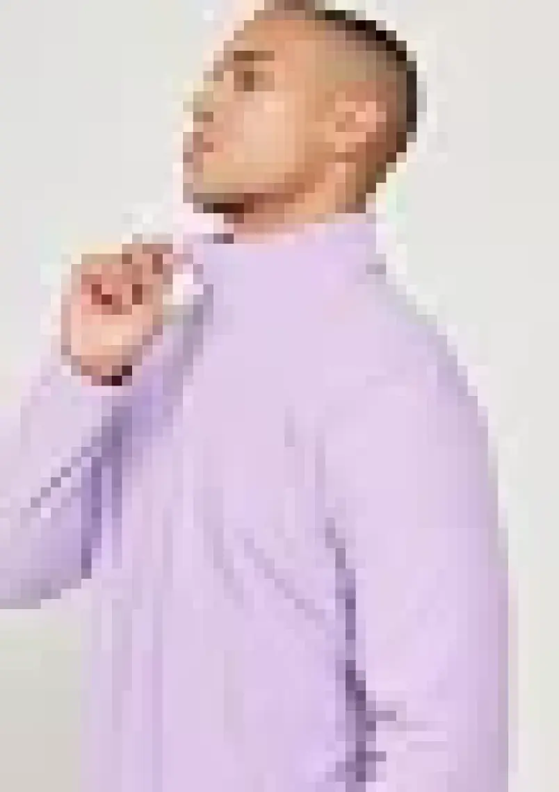 Altınyıldız Classics Erkek Lila Anti-Pilling Tüylenme Yapmayan Standart Fit Dik Yaka Polar Sweatshirt