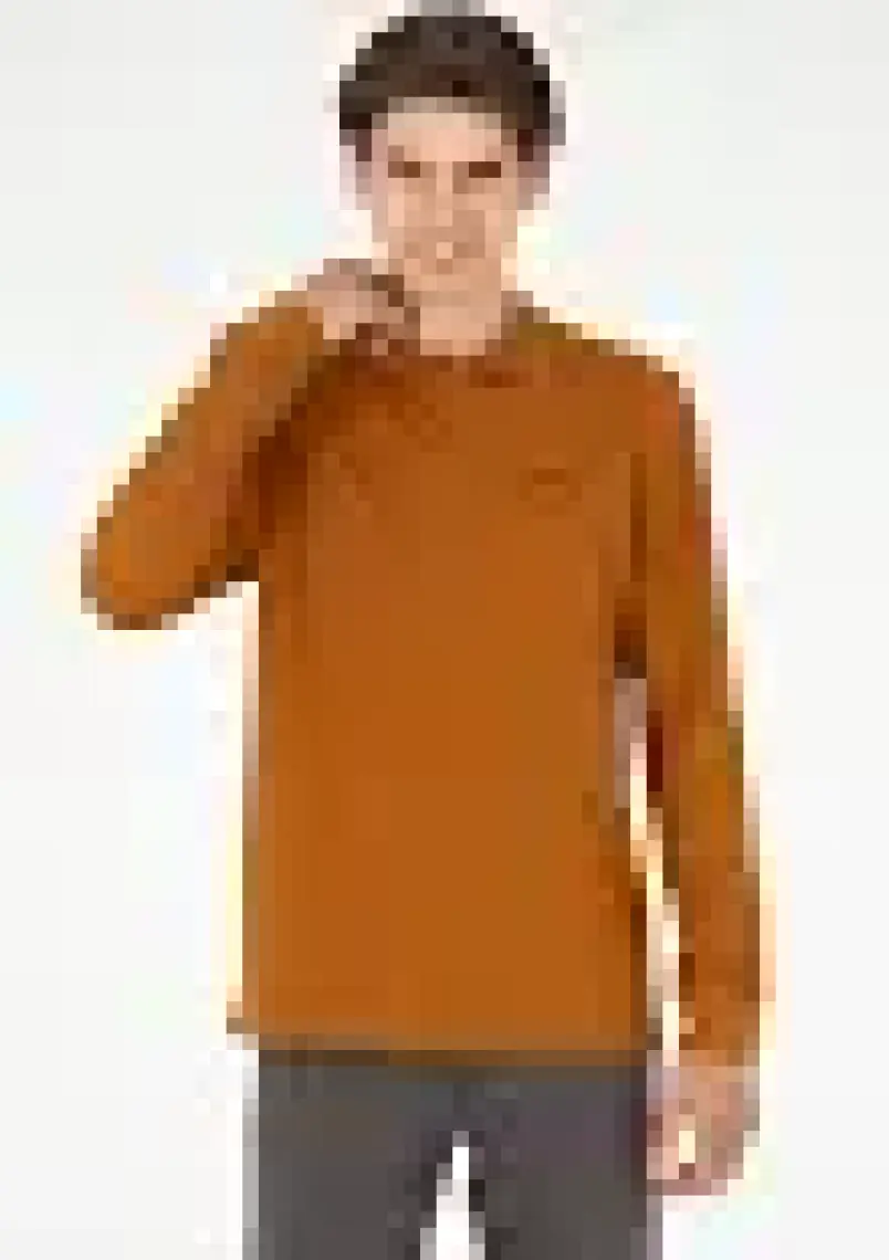 U.S. Polo Assn. Erkek Coconut Sweatshirt 50295169-VR153