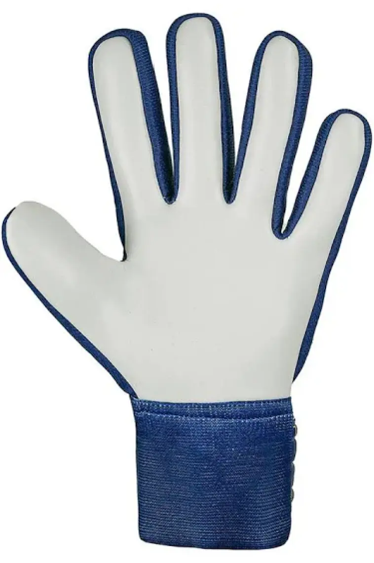 Reusch Attrakt Solid Starter Kaleci Eldiveni