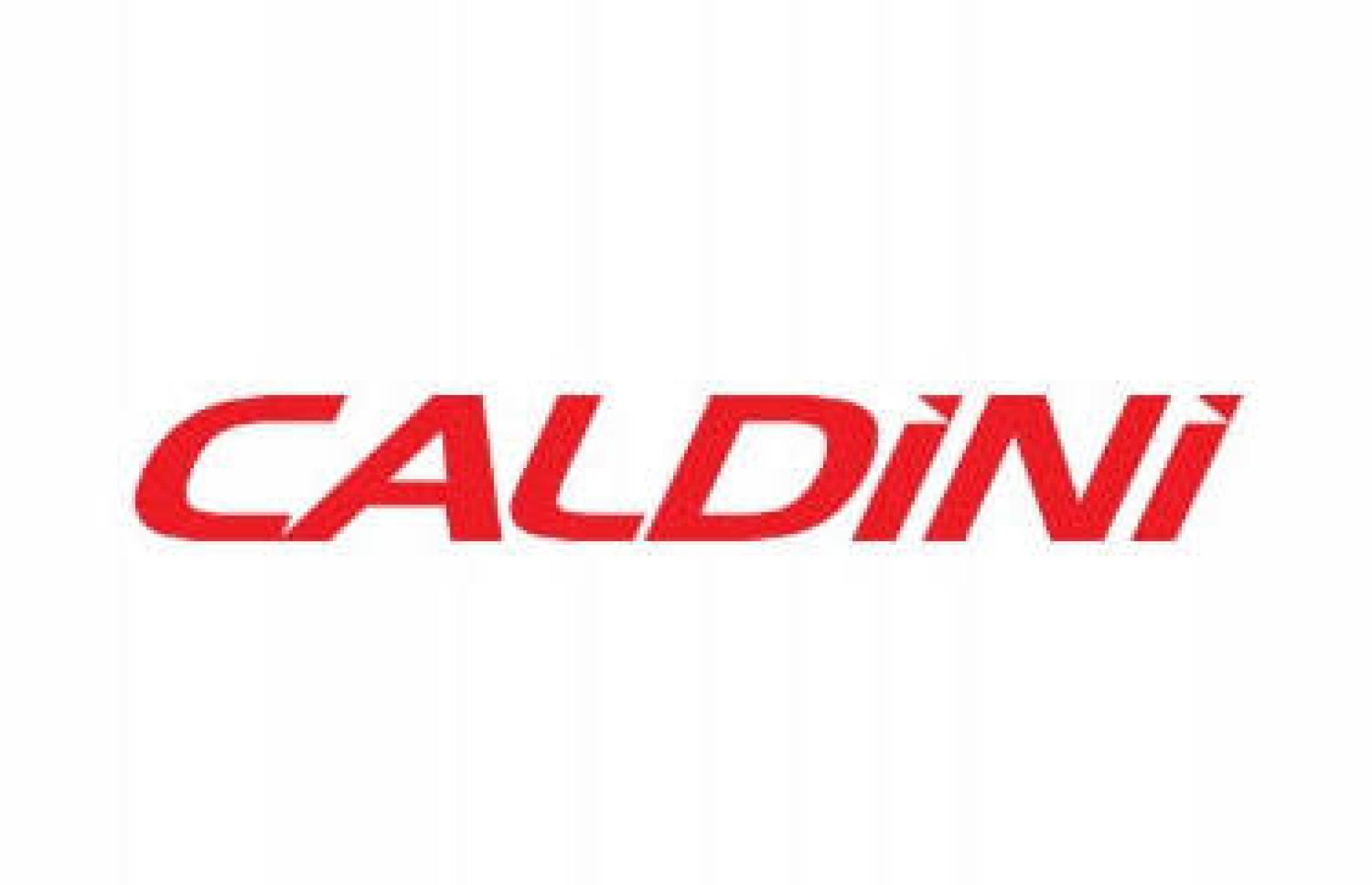 Caldini 300 ml Caldini Karbon Temizleme Dizel Yakıt Katkısı