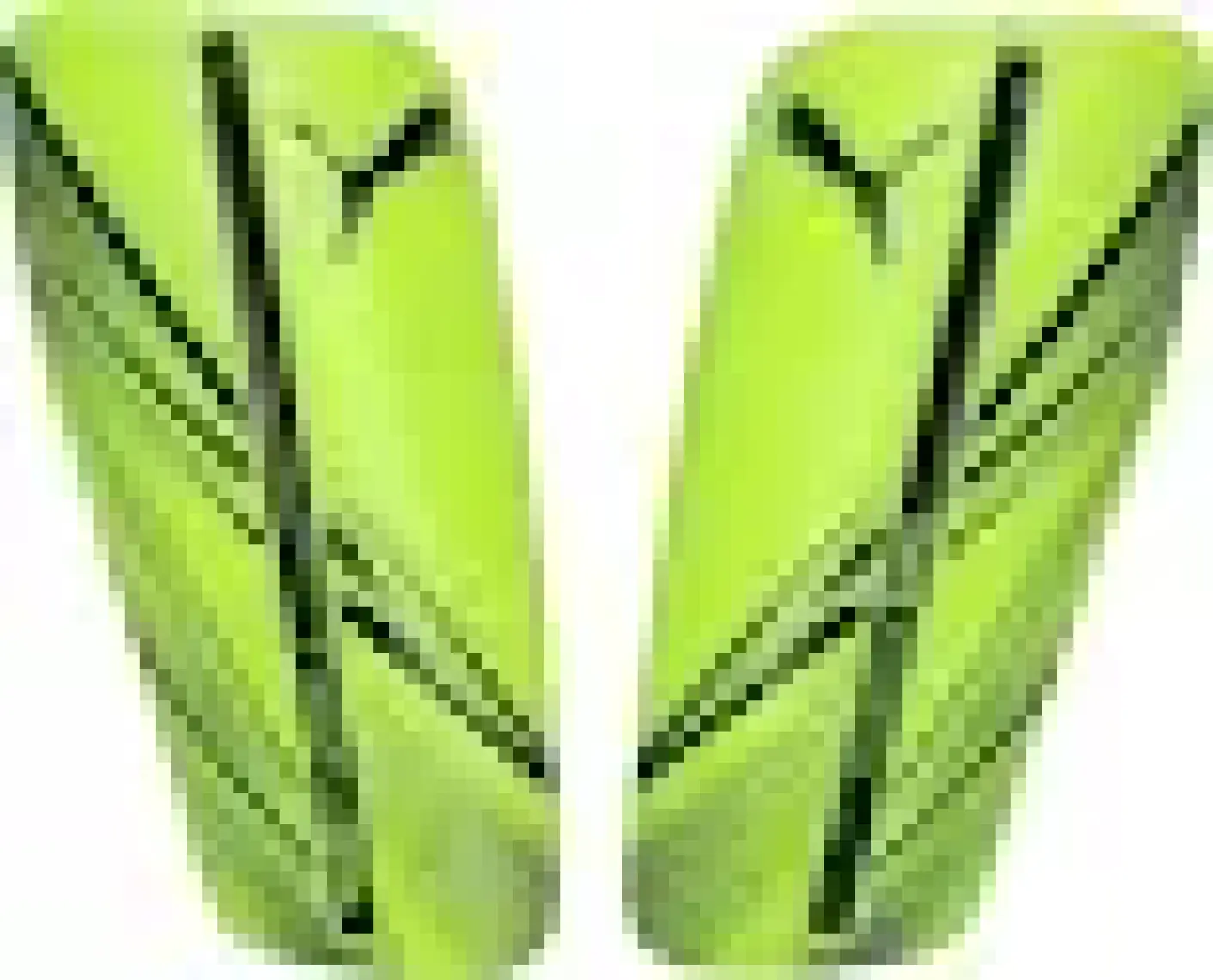 Puma Attacanto Sleeve Futbol Tekmelik 3088704 Yeşil
