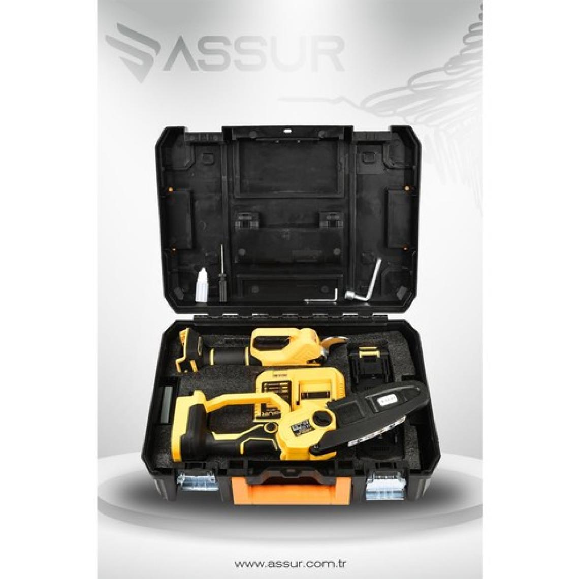 Assur Profesyonel 2'li Set 18V Çift Akülü Budama Testeresi ve Bağ Makası Makinesi