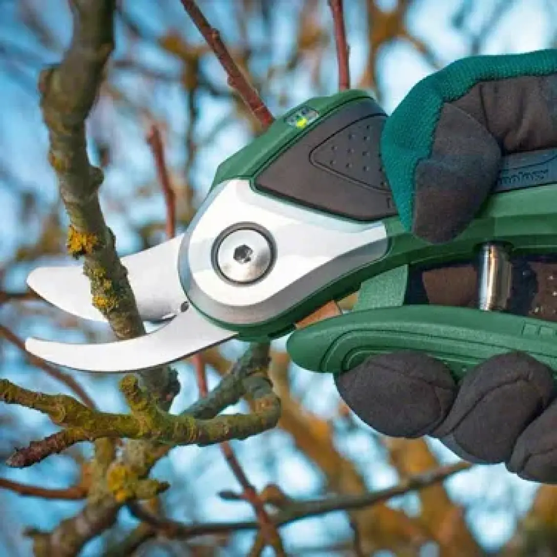 Bosch EasyPrune Akülü Dal Budama Makası