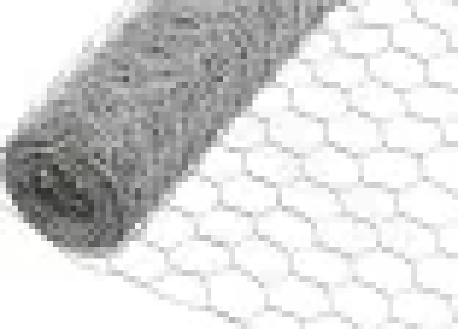 Güzelce Yapı Kümes Teli Yükseklik 100 cm Galvaniz 20 Metre